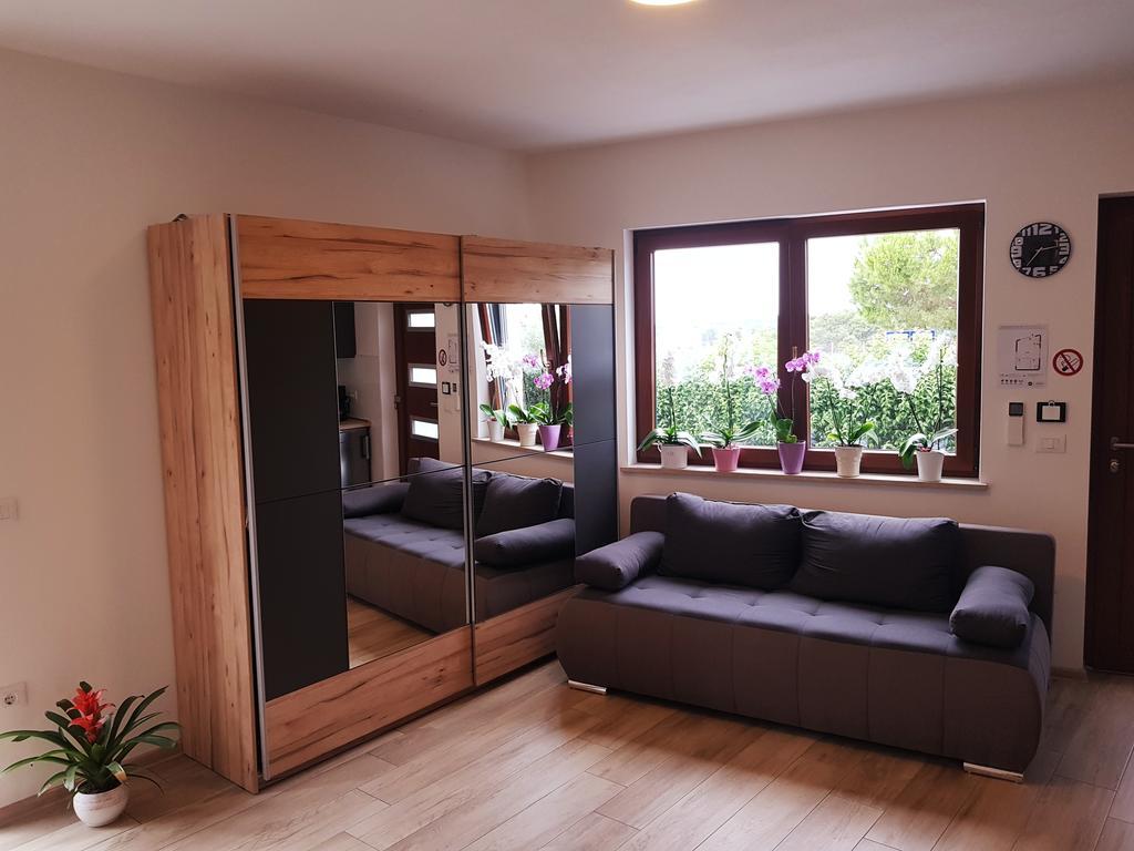 Casa Grzina 호텔 로비니 외부 사진